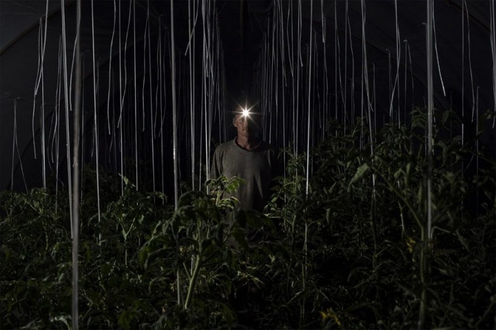 Piti-Marcell-Maga-ura